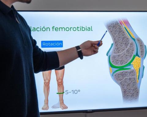 Rodilla: Ligamento Cruzado Anterior