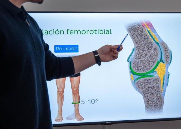 Rodilla: Ligamento Cruzado Anterior